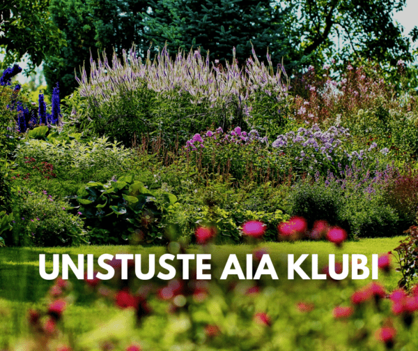 BASIC aia põhihoolduse tööriistakomplekt & 6 kuud Unistuste Aia Klubi - Image 3