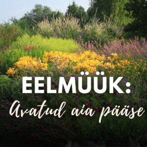 EELMÜÜK: Avatud Palusalu aia pääse (juuni)