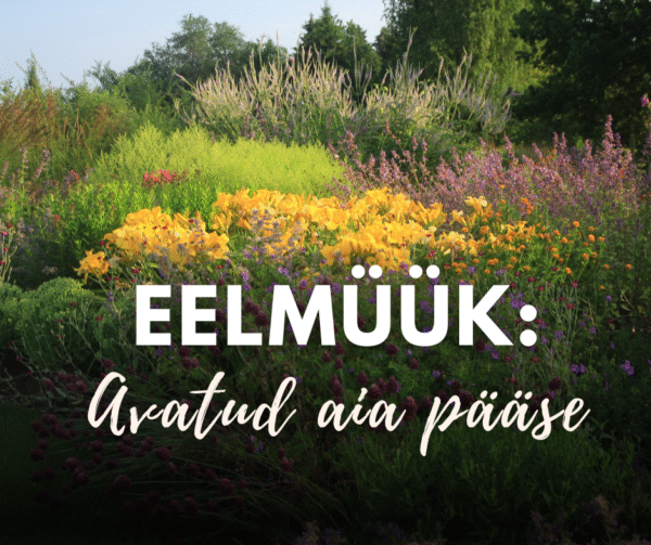 EELMÜÜK: Avatud Palusalu aia pääse (juuni)