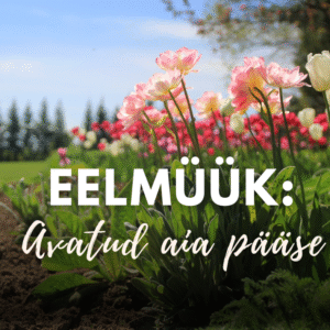 EELMÜÜK: Avatud Palusalu aia pääse (mai)