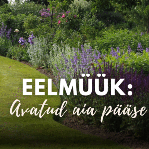 EELMÜÜK: Avatud Palusalu aia pääse (juuli)