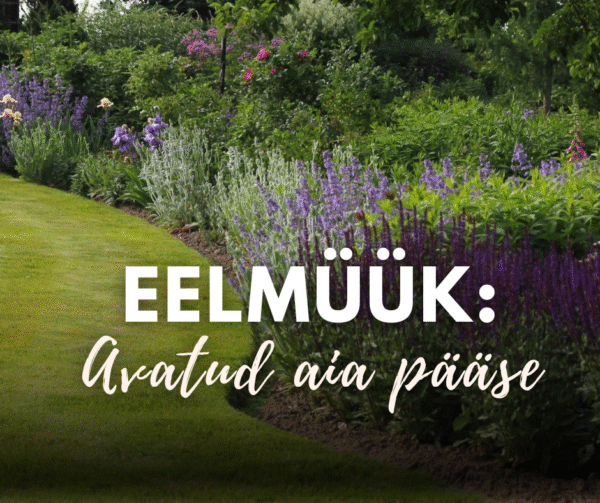 EELMÜÜK: Avatud Palusalu aia pääse (juuli)