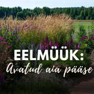 EELMÜÜK: Avatud Palusalu aia pääse (august)
