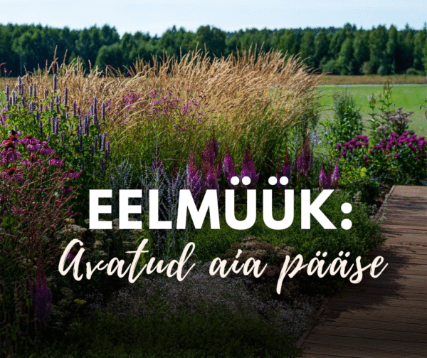EELMÜÜK: Avatud Palusalu aia pääse (august)