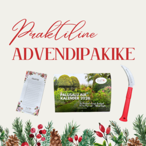Praktiline advendipakike