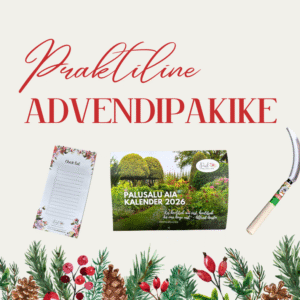 Praktiline advendipakike