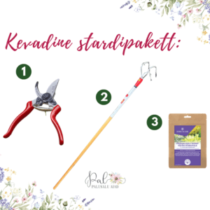 Kevadine stardipakett